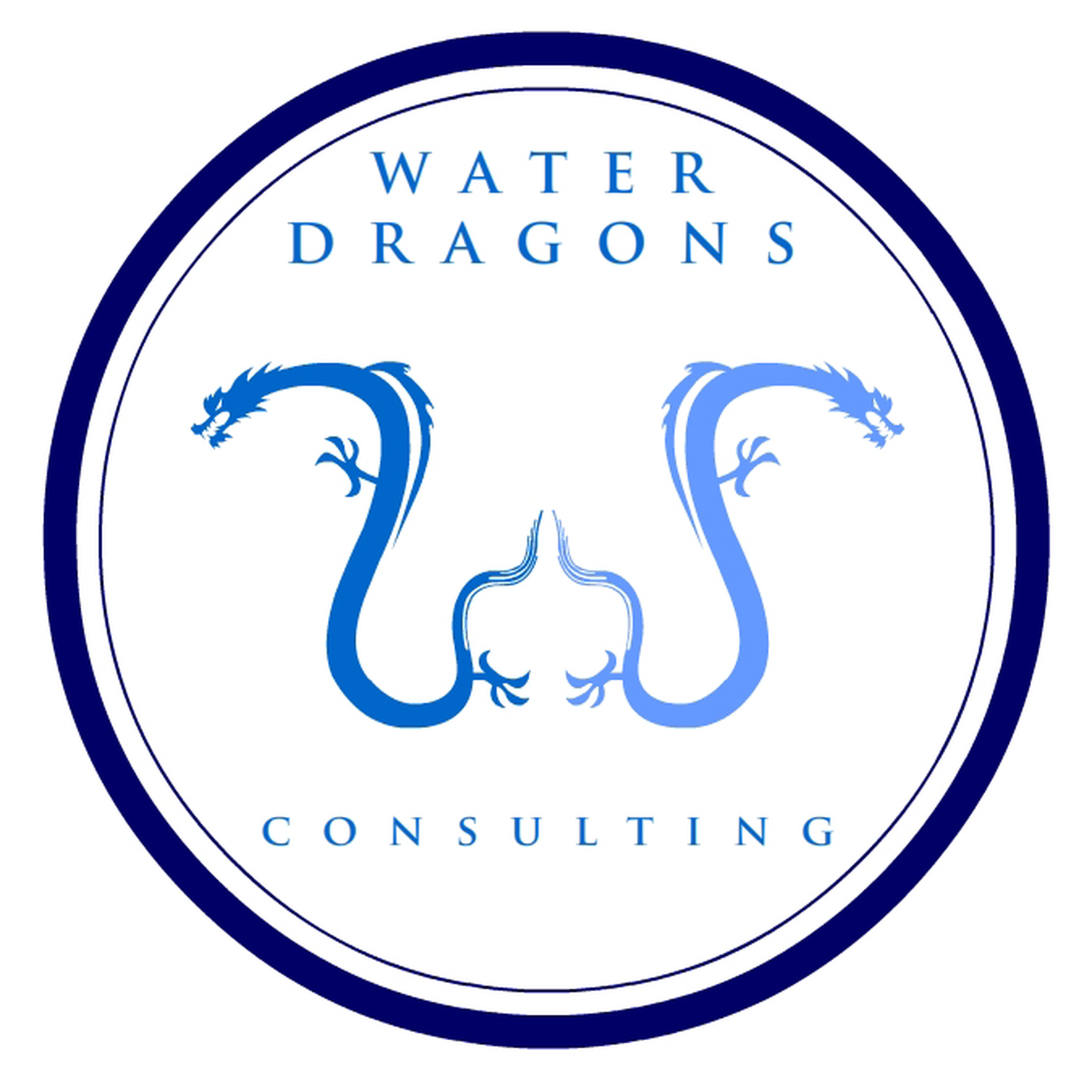 Water Dragons Consulting